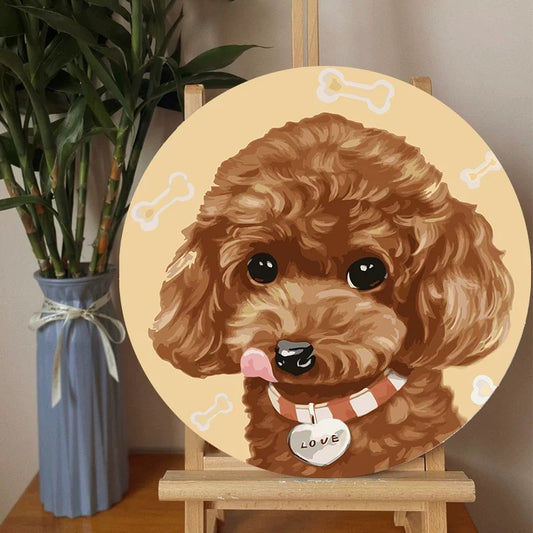 Teddy puppy
