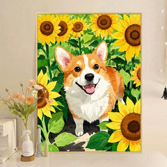 Corgi