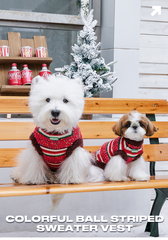 ArtisanUni Colorful striped sweater vest
