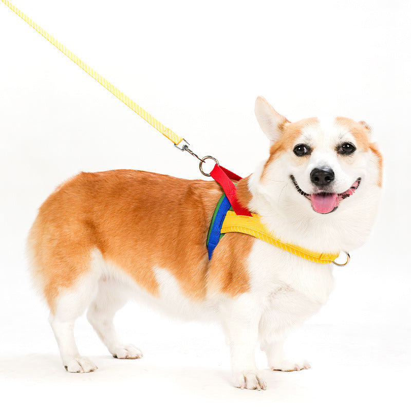ArtisanUni Saddle Dog Leash