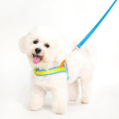 ArtisanUni Saddle Dog Leash