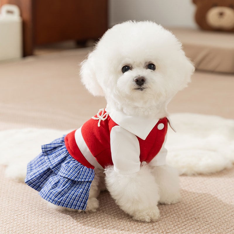 ArtisanUni Preppy style shirt dress