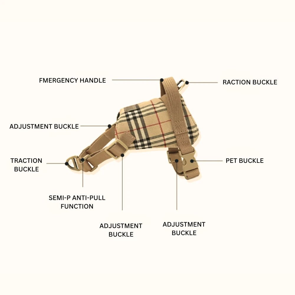 Dachshund Harness | No-Pull Step-In Harness & Harness Kit with Leash | ArtisanUni