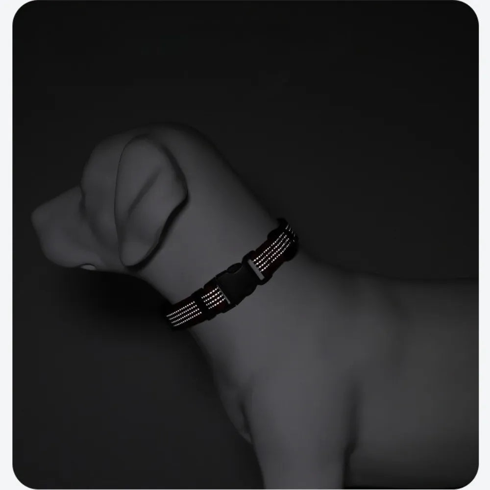Reflective Safety Collar | ArtisanUni