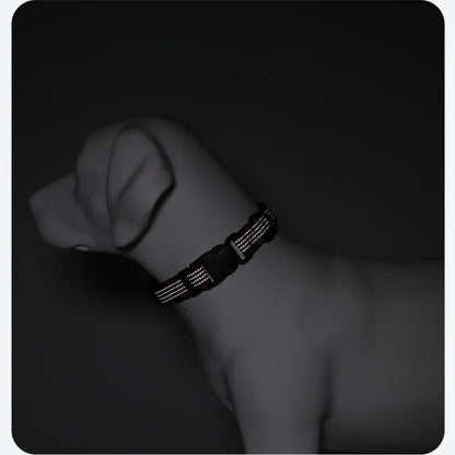 Reflective Safety Collar | ArtisanUni