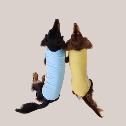 Sky Blue Dachshund Cooling Vest | UPF 50+ Quick-Dry | ArtisanUni