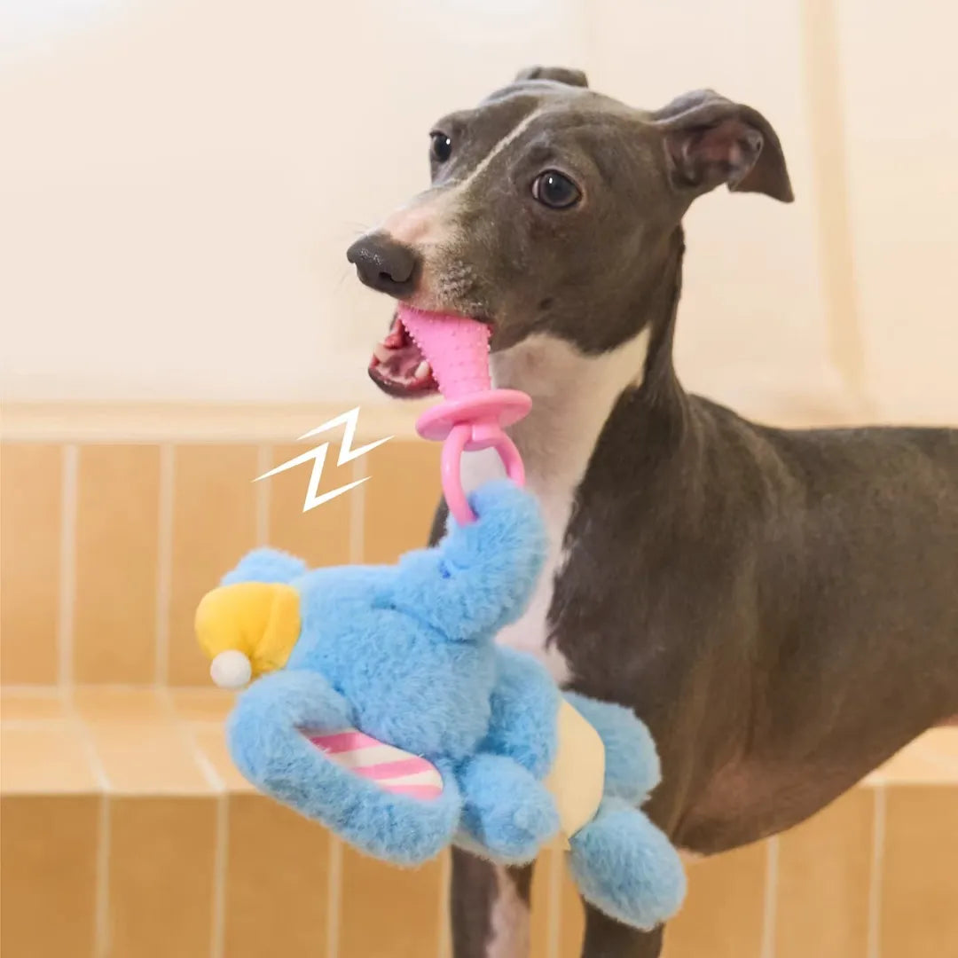"Squeaky elephant plush toy suitable for small dogs under 15 pounds"