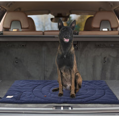 ArtisanUni Waterproof Outdoor Dog Bed Pad