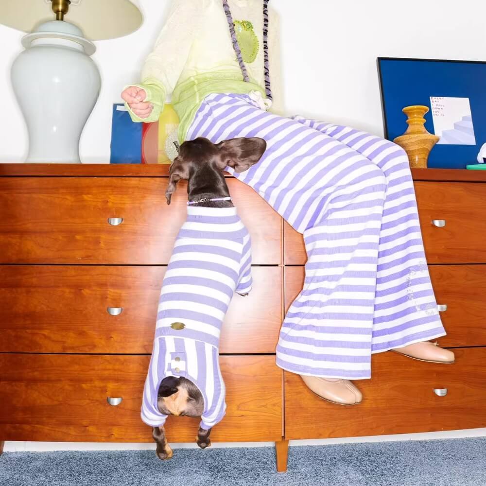 Dachshund Pajamas | Four-Legged Stripe Sleepwear for Wiener Dogs | ArtisanUni