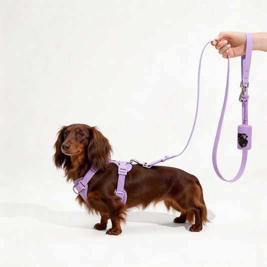 Dog Harness & Waterproof Leash Walk Kit | Cushioned No-Pull Set | ArtisanUni