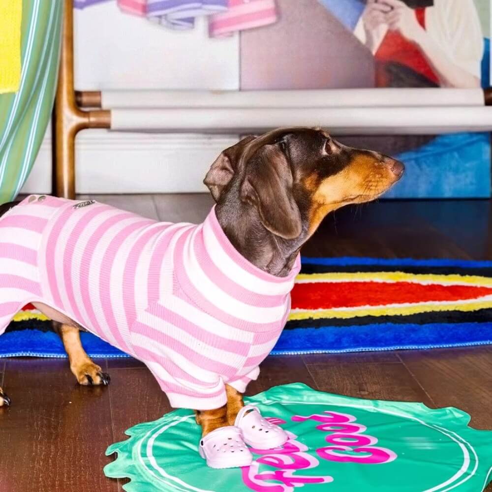 Dachshund Pajamas | Four-Legged Stripe Sleepwear for Wiener Dogs | ArtisanUni