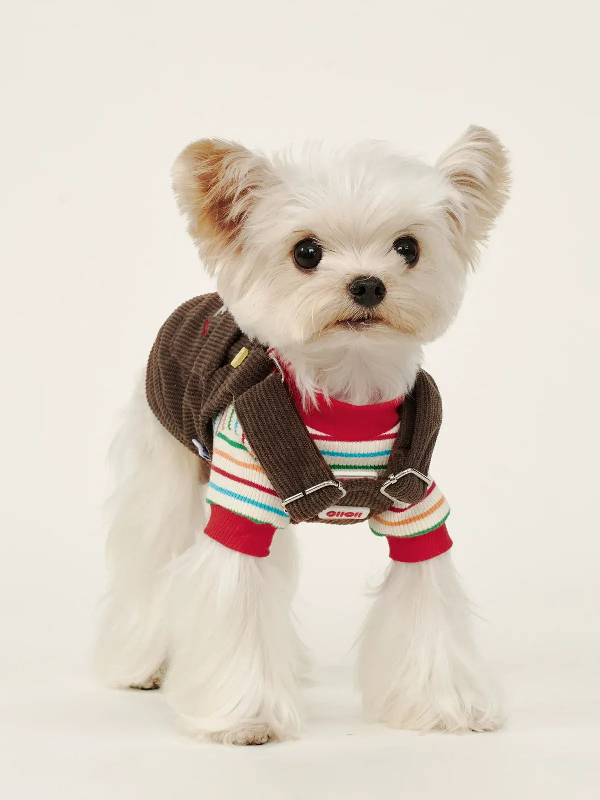 ArtisanUni Red striped pet T-shirt