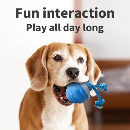 interactive small dog toy rolling ball for daily training and exercise
