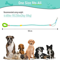 ArtisanUni Hands Free Dog Rope Leash