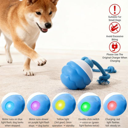 Small Dog Toys – Interactive Motion Activated Squeaky Rolling Ball| ArtisanUni