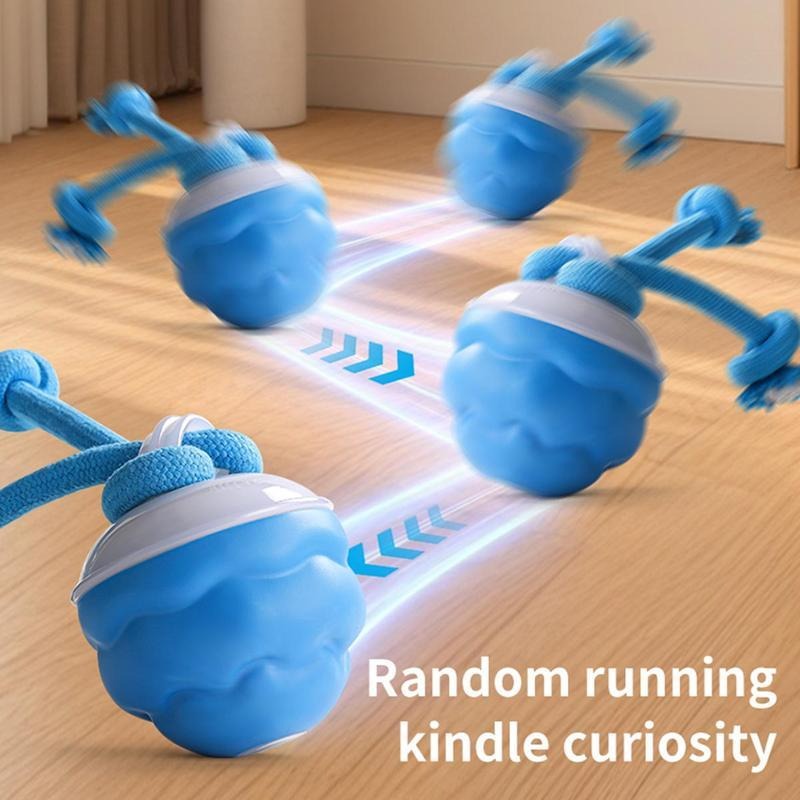small dog playing with interactive rolling ball toy indoors
