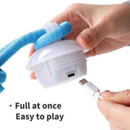 Small Dog Toys – Interactive Motion Activated Squeaky Rolling Ball| ArtisanUni