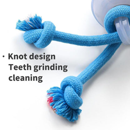 close-up of motion activated squeaky small dog toy
