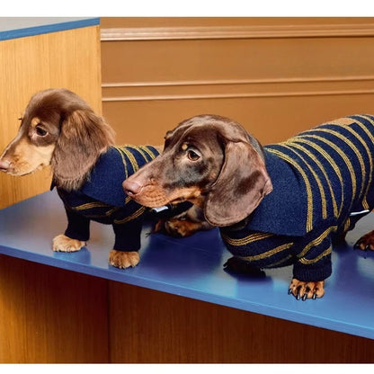 Sweater Dachshund Long Body  |  Blue & Yellow Striped  Polo Knit | Dachshund Clothing | ArtisanUni