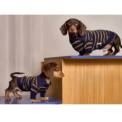 Sweater Dachshund Long Body  |  Blue & Yellow Striped  Polo Knit | Dachshund Clothing | ArtisanUni