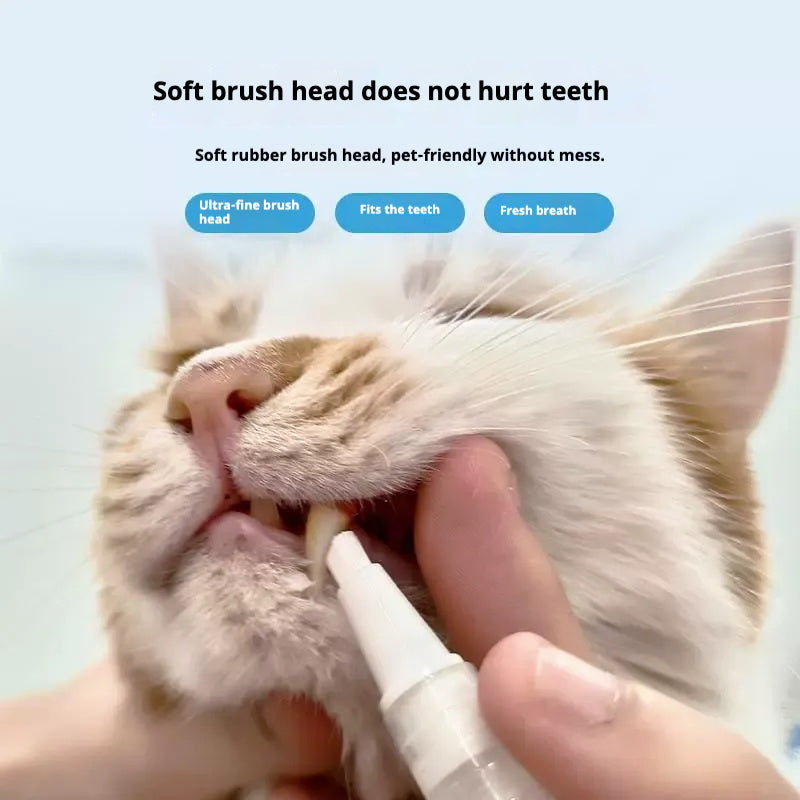 Pet toothbrush pen teeth cleaning tool