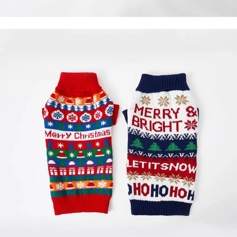 dachshund in festive christmas sweater during winter holiday
