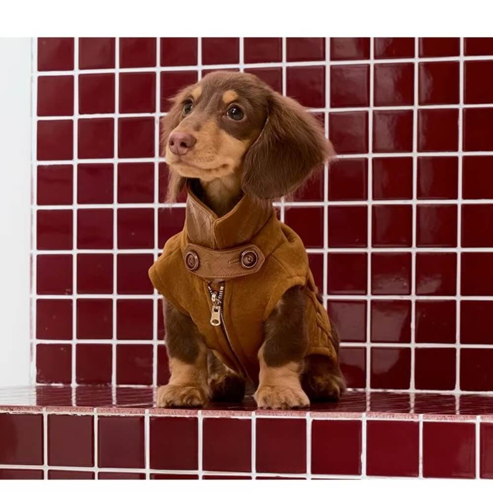 Dachshund Coats | Luxury Reversible Suede Vest | ArtisanUni