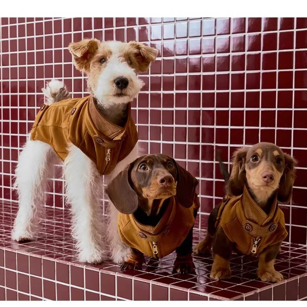 Dachshund Coats | Luxury Reversible Suede Vest | ArtisanUni