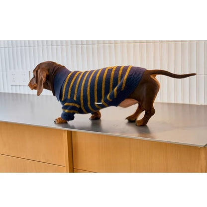 Sweater Dachshund Long Body  |  Blue & Yellow Striped  Polo Knit | Dachshund Clothing | ArtisanUni
