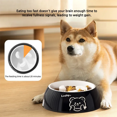 Slow Feeder Dog Bowl