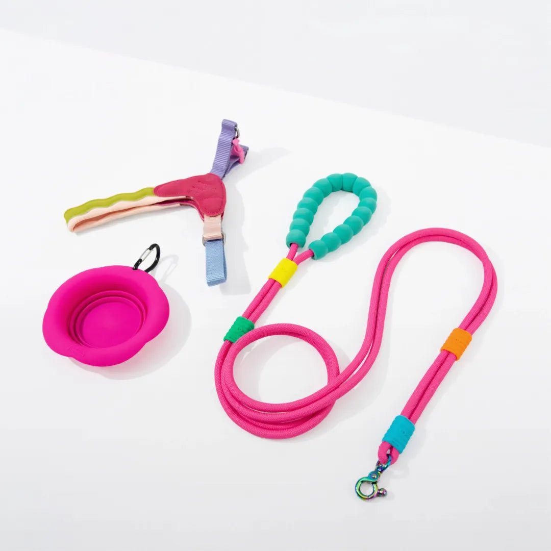 ArtisanUni Classic small dog harness