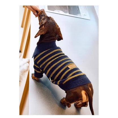 Sweater Dachshund Long Body  |  Blue & Yellow Striped  Polo Knit | Dachshund Clothing | ArtisanUni