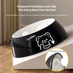Slow Feeder Dog Bowl