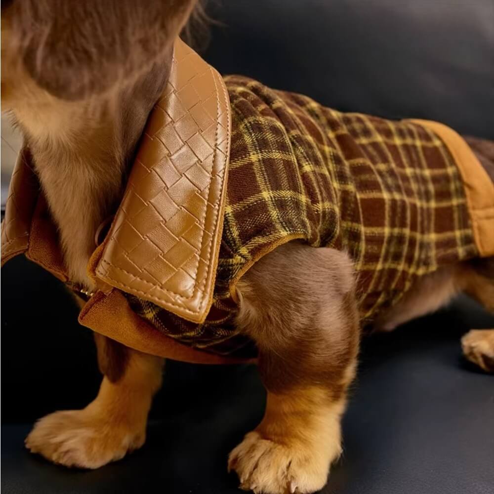 Dachshund Coats | Luxury Reversible Suede Vest | ArtisanUni