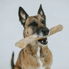 Coffee Wood Dental Chews For Dogs