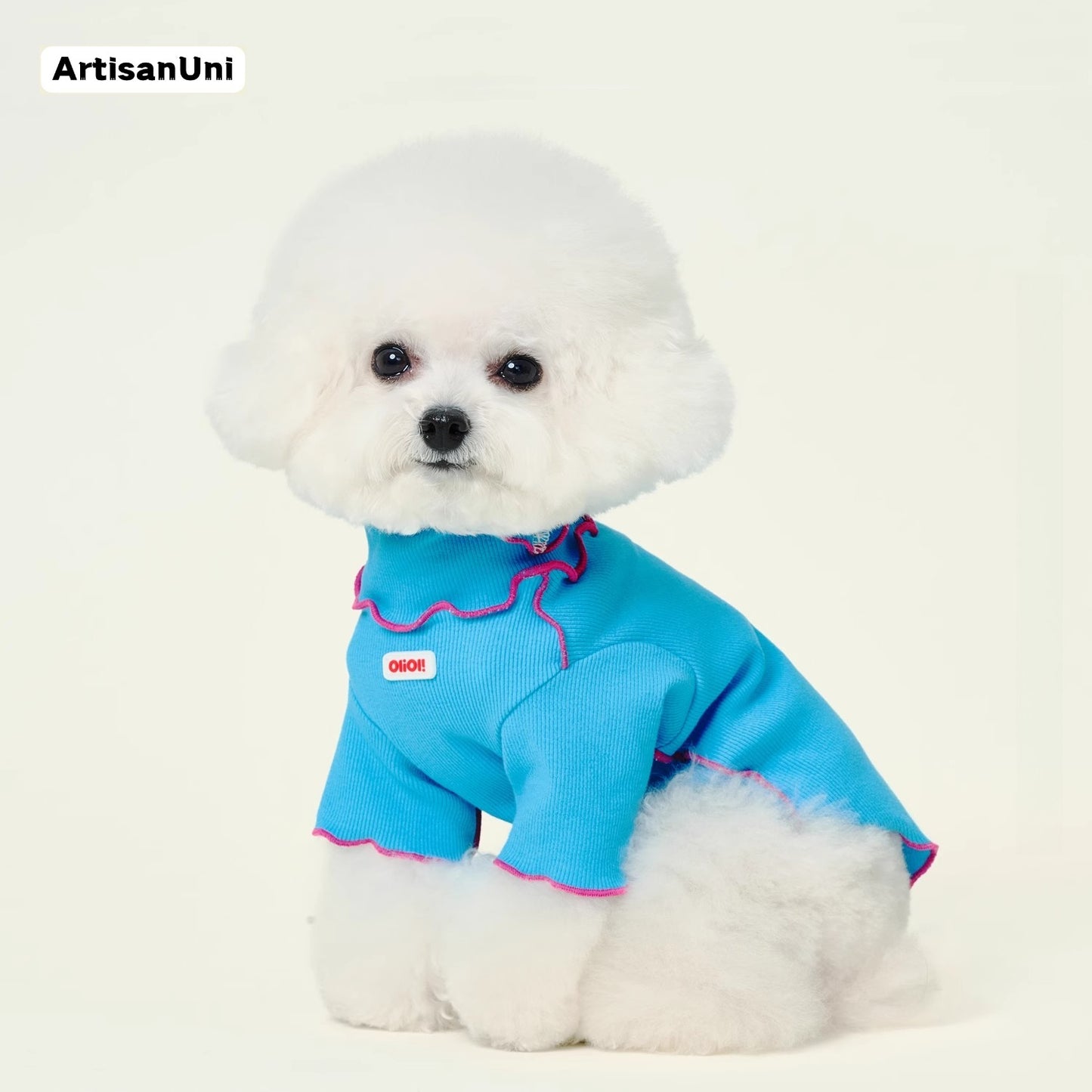 ArtisanUni Turtleneck T-shirt