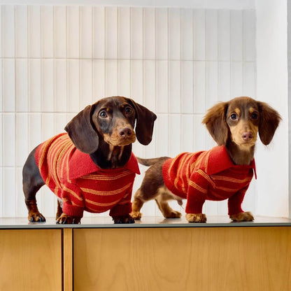Sweater Dachshund Long Body  |  red & Yellow Striped  Polo Knit | Dachshund Clothing | ArtisanUni