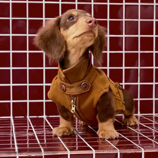 Dachshund Coats | Luxury Reversible Suede Vest | ArtisanUni