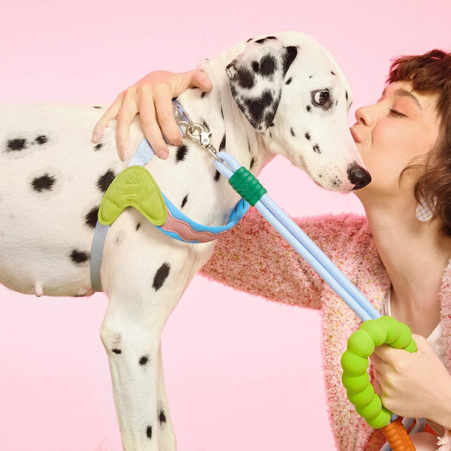 ArtisanUni Classic small dog harness