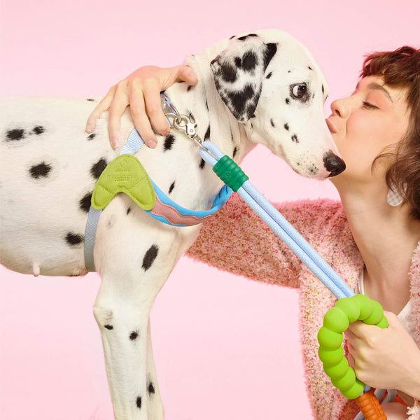 Hands-Free Rope Leash