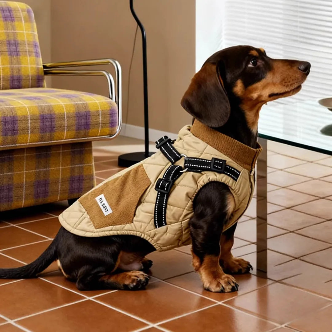 dog harness vest designed as a fleece-lined dachshund harness