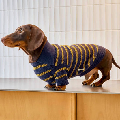 Sweater Dachshund Long Body  |  Blue & Yellow Striped  Polo Knit | Dachshund Clothing | ArtisanUni