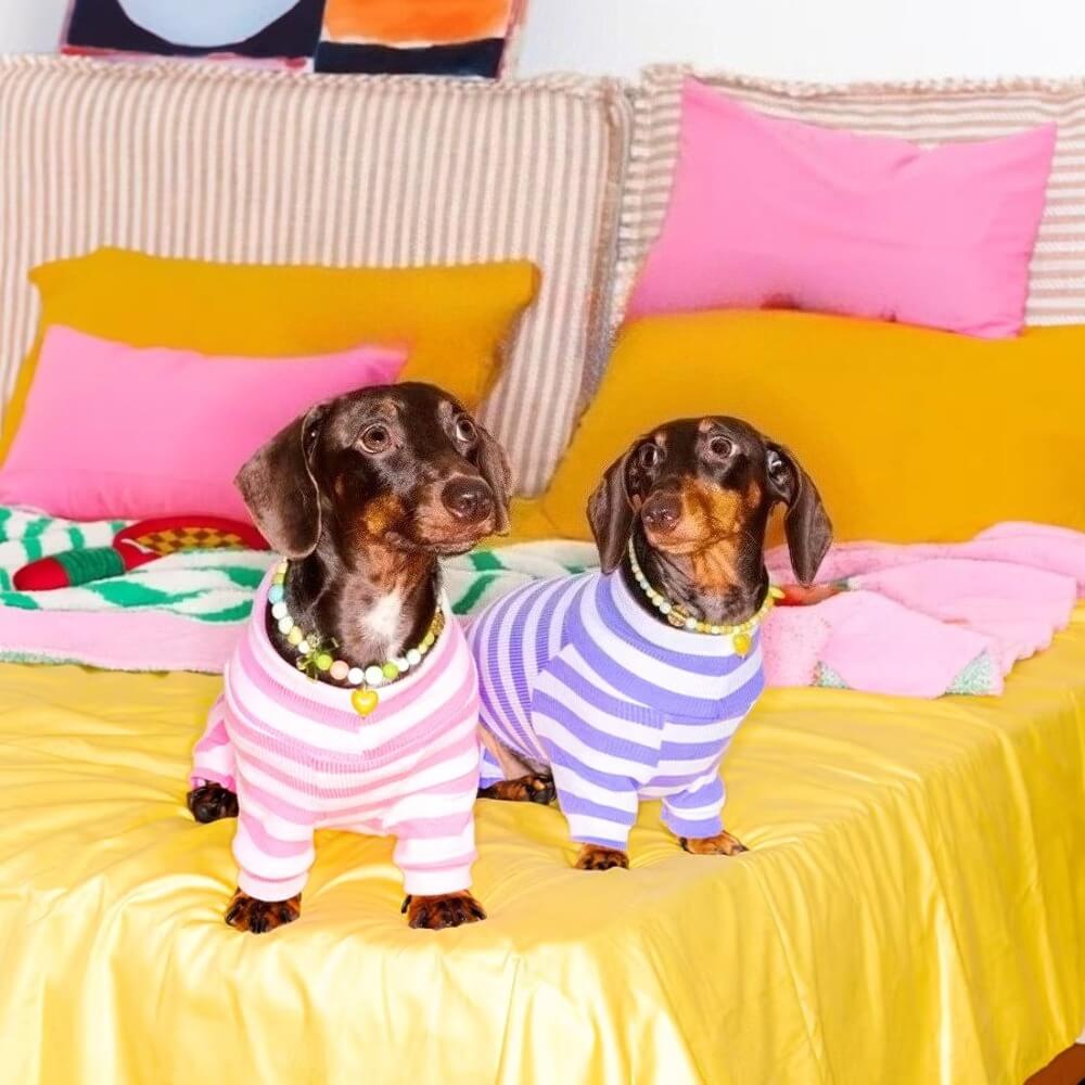 Dachshund Pajamas | Four-Legged Stripe Sleepwear for Wiener Dogs | ArtisanUni
