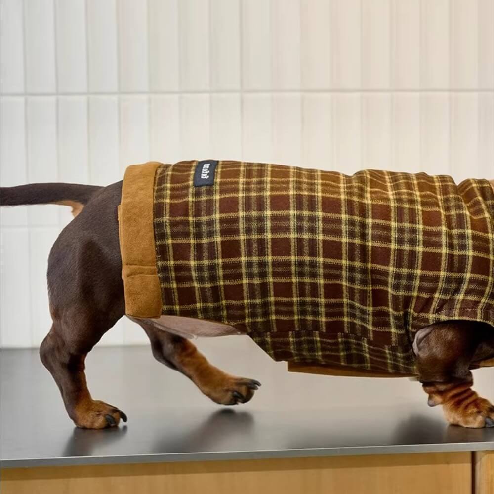 Dachshund Coats | Luxury Reversible Suede Vest | ArtisanUni