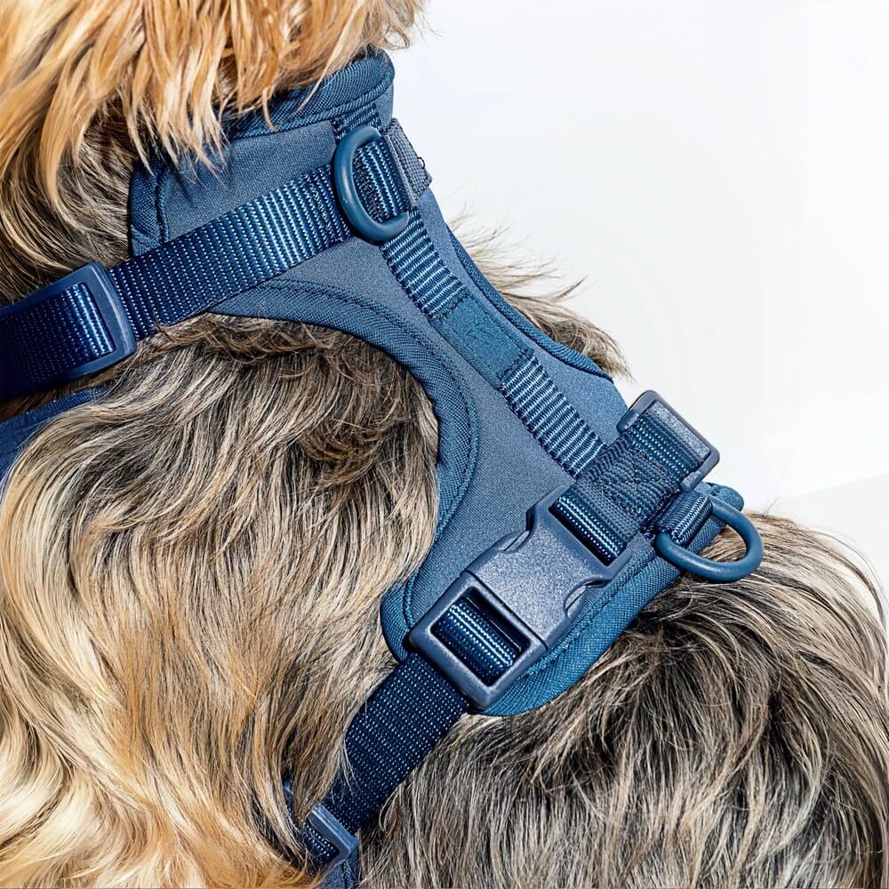 Dog Harness & Waterproof Leash Walk Kit | Cushioned No-Pull Set | ArtisanUni