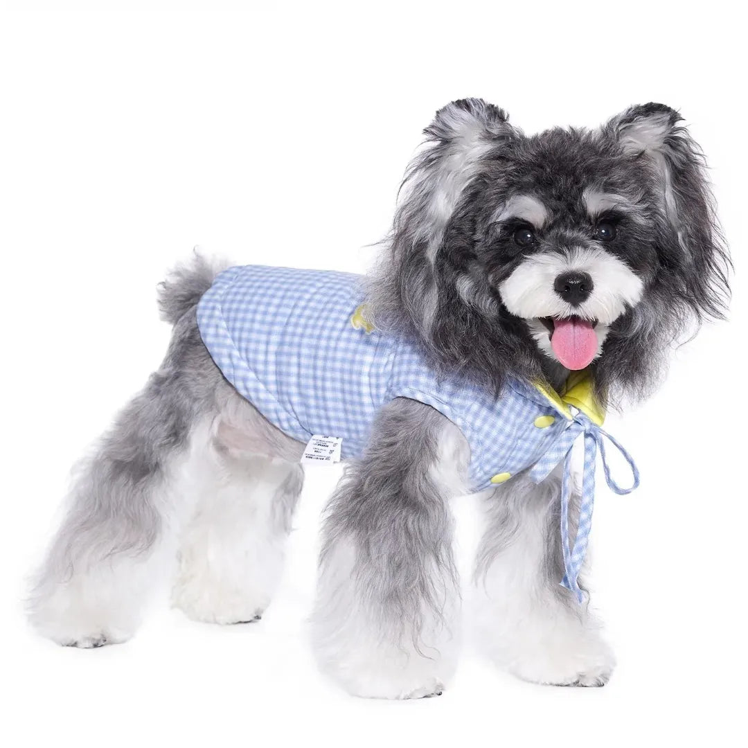 ArtisanUni Winter reversible traction vest