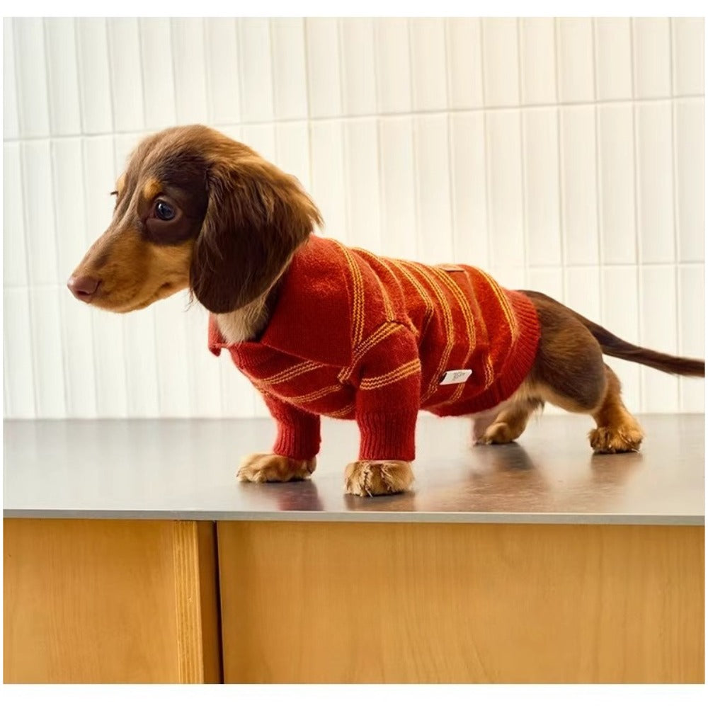 Sweater Dachshund Long Body  |  red & Yellow Striped  Polo Knit | Dachshund Clothing | ArtisanUni