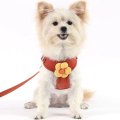 ArtisanUni 3D Flower harness walk kit