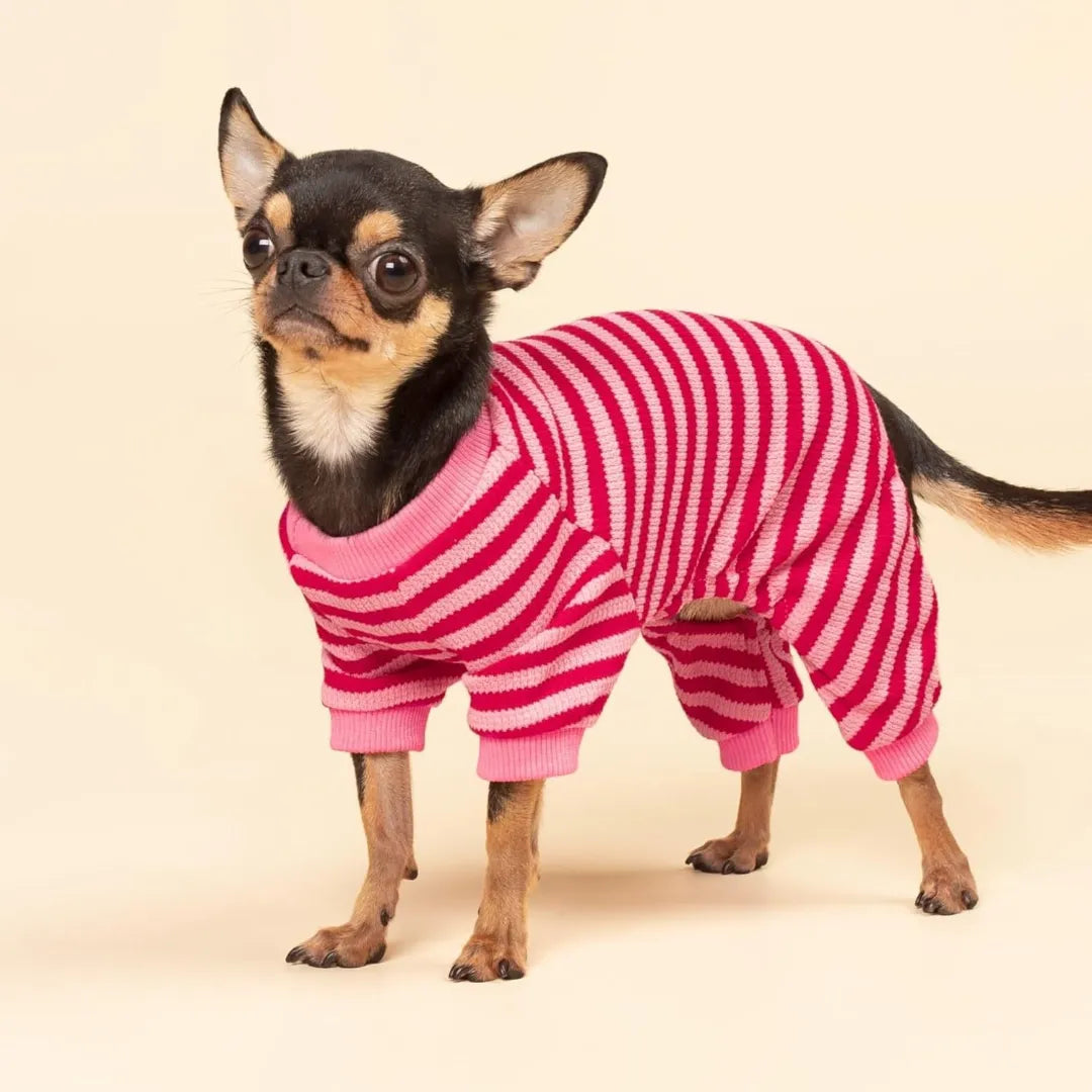 Cute Striped Dachshund Pajamas - Soft & Funny Dog Print Sleepwear Gift | ArtisanUni