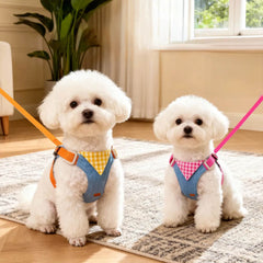 ArtisanUni Small pet harness walk kit